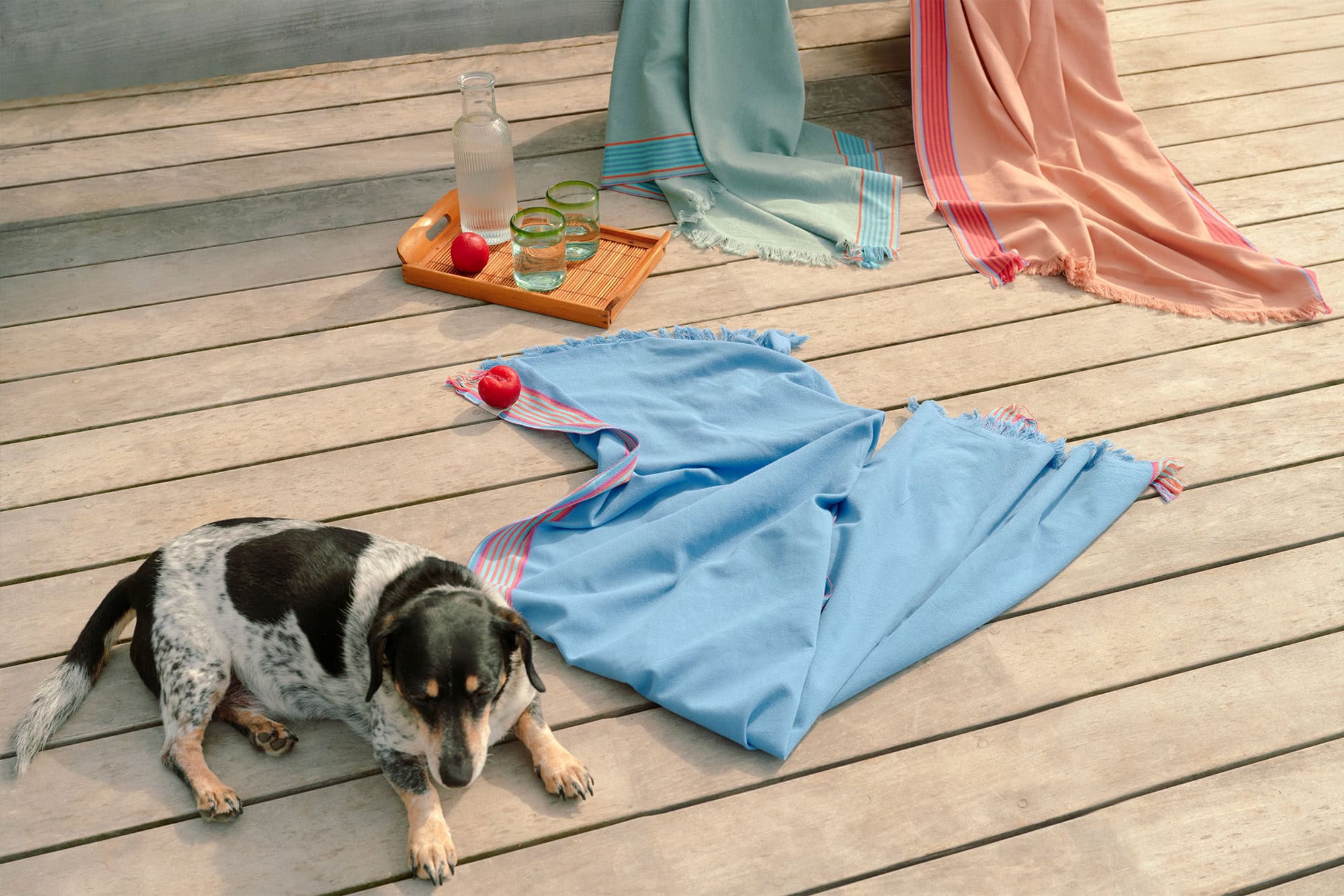 Dog lying on a deck next to Mungo Ruti kikois.