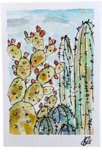 Illustration of cacti for Mungo by Craig Harding.