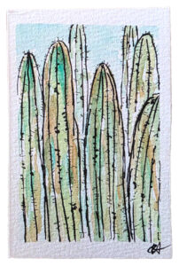 Illustration of cacti for Mungo by Craig Harding.