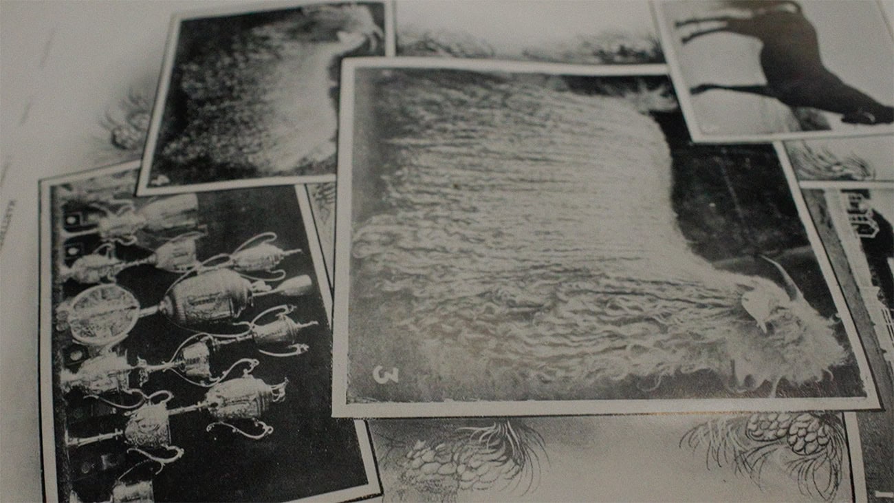 Old photos of Angora goat and other farming memories.