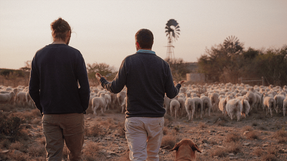 Talking to an Angora goat farmer in the Karoo with a windmill in the background.