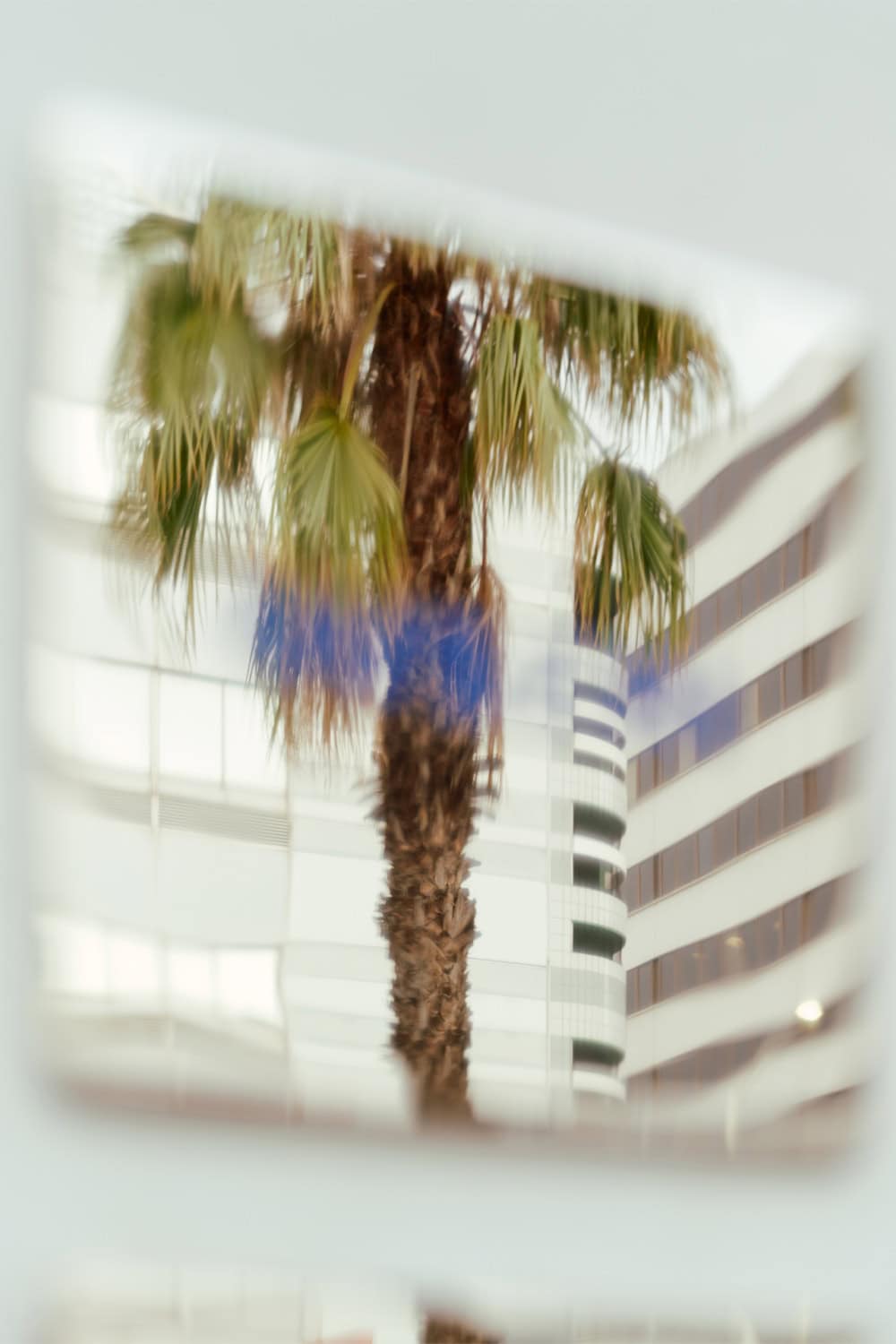 The entrance to Ouzeri restaurant with a reflective plaque and palm tree.